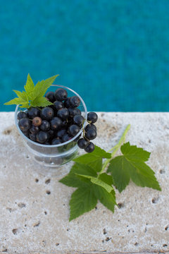 black currants in a glass and leaves of currant close up on a background of pool