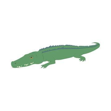 Crocodile icon, cartoon style