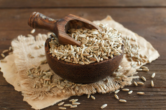 Dry Raw Rye Grain