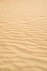  desert