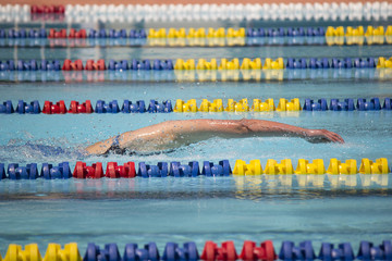 Nadador nadando crol en piscina de verano. Competición de natación. Estilo olímpico. Nadadora...