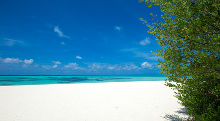 tropical beach in Maldives