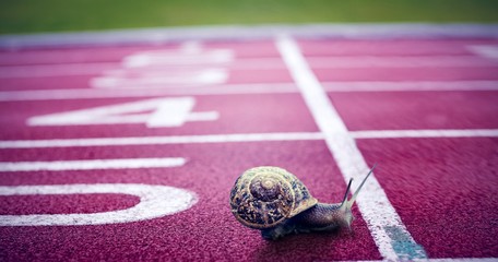 Composite image of snail on a white background © vectorfusionart