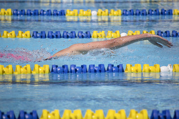 Nadador nadando crol en piscina de verano. Competición de natación. Estilo olímpico. Nadadora...