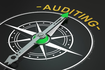 Auditing compass concept, 3D rendering