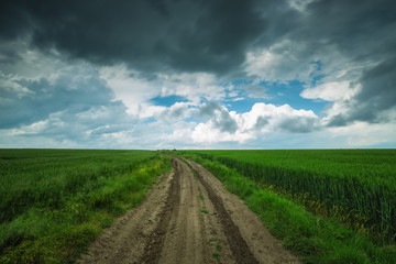 Fototapeta na wymiar Green field and cloudy sky, long exposure
