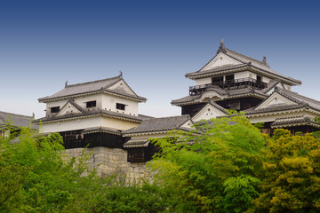 Fototapeta premium Matsuyama castle in Japan