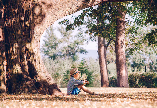 Boy with book sits under big tree in golden summer afternoon