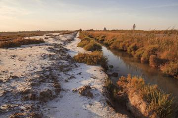 Sunset in the Camargue national park. Rhone Delta, Provence, France