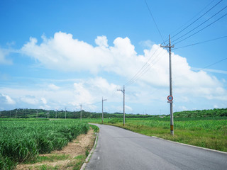 Fototapeta premium 小浜島の風景