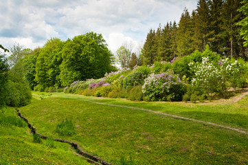 Beautiful landscaping in the park