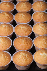 Fresh cupcake desert before decoration. Selective focus. Shallow