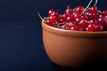 Currant berries in a clay bowl on black background. Selective fo