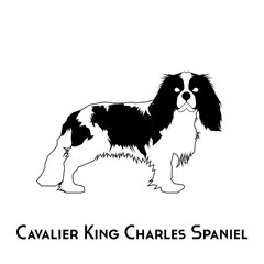 Isolated dog silhouette