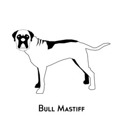 Isolated dog silhouette