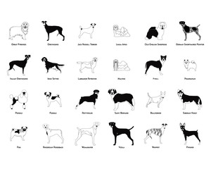 Set of dog silhouettes