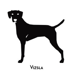 Isolated dog silhouette