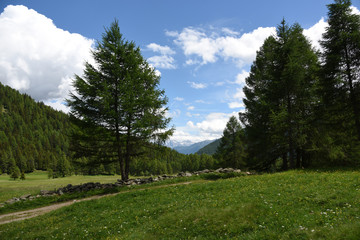 Fototapeta na wymiar paesaggio di montagna montagne prateria spettacolo natura Alpi Trentino Italia sentiero malga maso