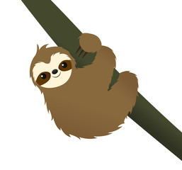 Smiling sloth © Sara Showalter