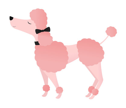 Posh pink poodle