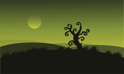 Dry tree at Halloween backgrounds
