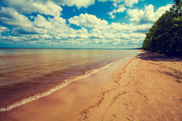 Fototapeta na wymiar Baltic sea coast. Deserted wild beach