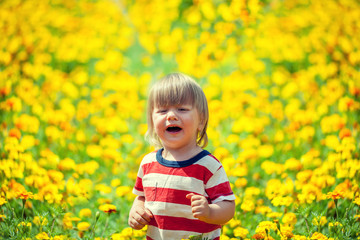 Little boy walking on the flowers lawn