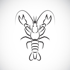 Vector image of an lobster design on white background., Lobster
