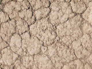 crack in the ground