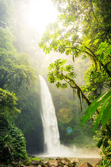 Tropical waterfall In dense tropical rain forest with sun shining through the trees.