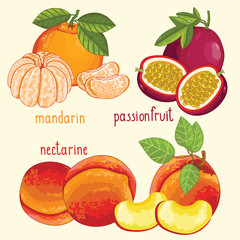 Set of fruit mix vector isolated. Healthy eat. Passion fruit, mandarin and nectarine fruit. Natural organic food. Ingredients for a vegetarian meal. Sweet and ripe summer fruit.