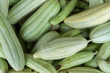 Mexican Zucchini (Calabasas) sold at local farm market