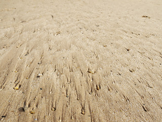 closeup sand texture