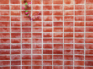 Brick wall background