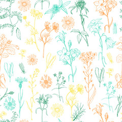 Seamless pattern with herbs and wild flowers