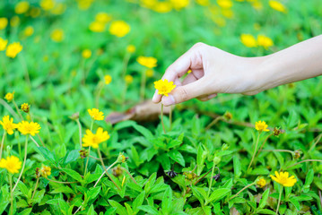  Beauty hand touch on flower