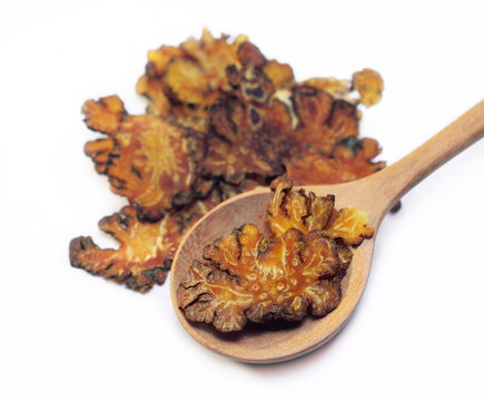 sliced szechuan lovage root chinese herbal medicine on wooden spoon over white background. Chuan xiong ( Ligusticum striatum )