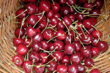 Obraz na płótnie Canvas Ripe cherries in a wicker basket