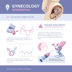 Vector Chart Infographic Elements about Pregnancy