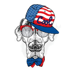 Pointer. Beautiful dog wearing a cap, sunglasses and tie. Vector illustration.