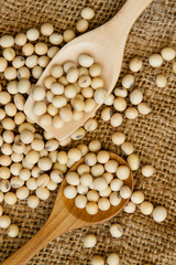 Soybean on wooden spoon put on linen sack, rural agriculture and organic farm concept