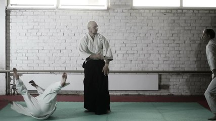athletes in a kimono demonstrating martial arts techniques. martial arts - Powered by Adobe
