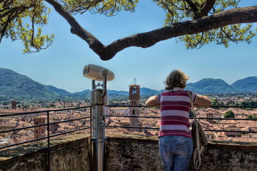Lucca, Torre Guinigi - obrazy, fototapety, plakaty