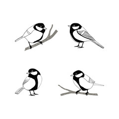 Birds sketch set. Tomtit.