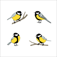 Birds sketch set. Tomtit.