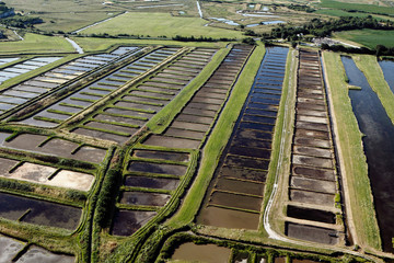 Maris de Hiers-Brouage vue du ciel