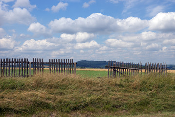Obraz premium Landschaft im Sommer
