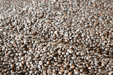 Roasted coffee beans.