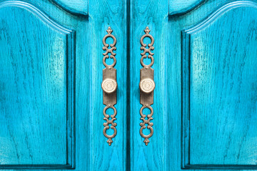 Stylish brass door handles on a cabinet or closet