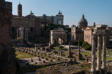 Fototapeta na wymiar Blick vom Palatin auf das Forum Romanum in Rom mit Basilica Julia und Bogen des Septimius Severus